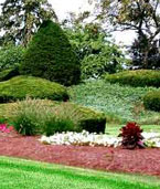 Commercial Landscaping